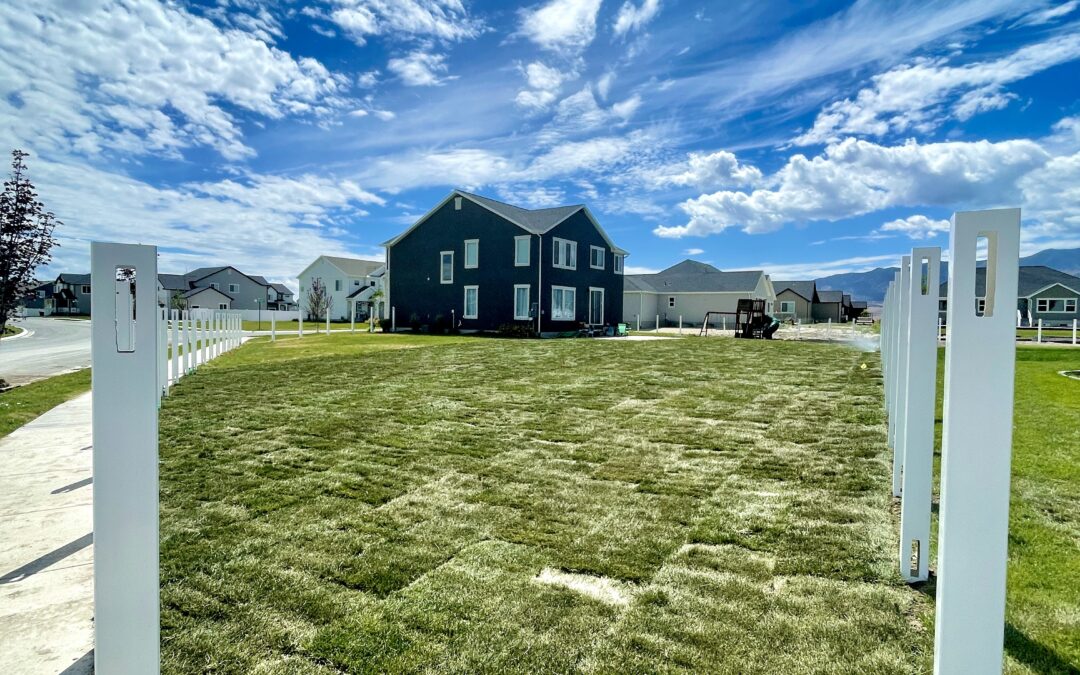 Sod vs Seed: Which is Better for Your New Utah Lawn?