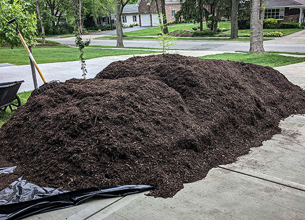 Everything You Need to Know About Mulch: Types, Benefits, and How Much to Use