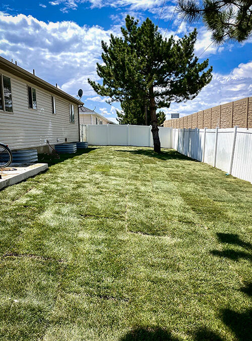 How to Prepare Your Yard for Spring Landscaping in Utah