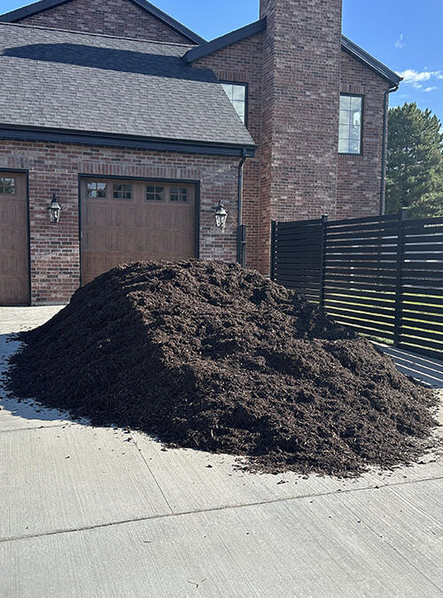 Top 5 Mistakes Homeowners Make When Ordering Landscaping Materials
