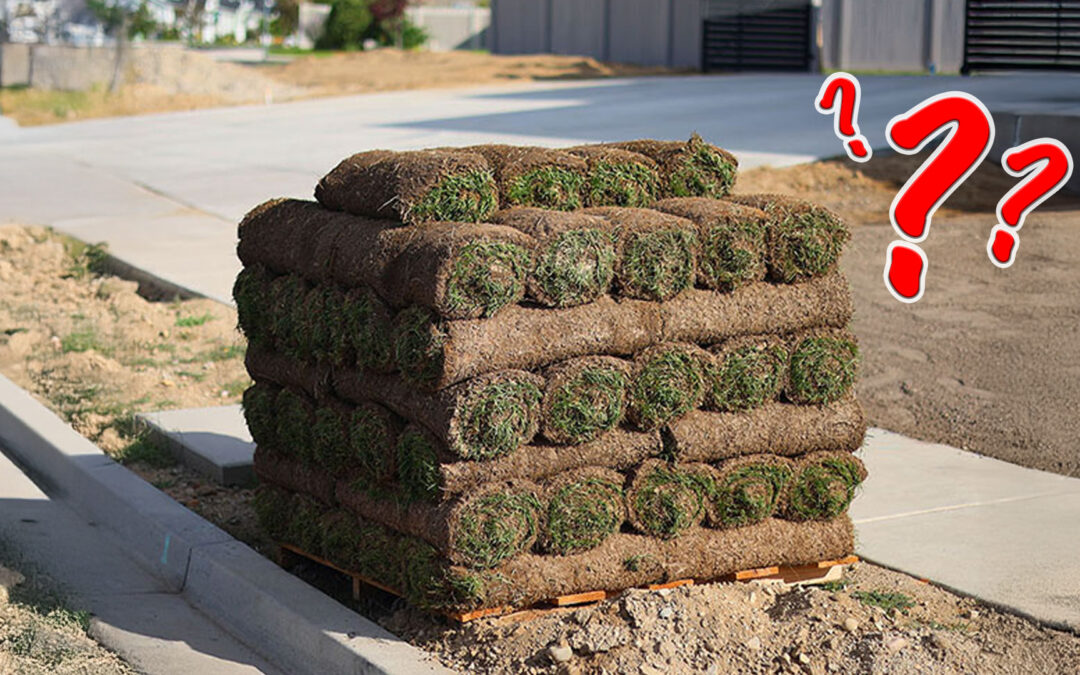 The Best Time to Lay Sod in Utah (And How to Prep Your Yard)